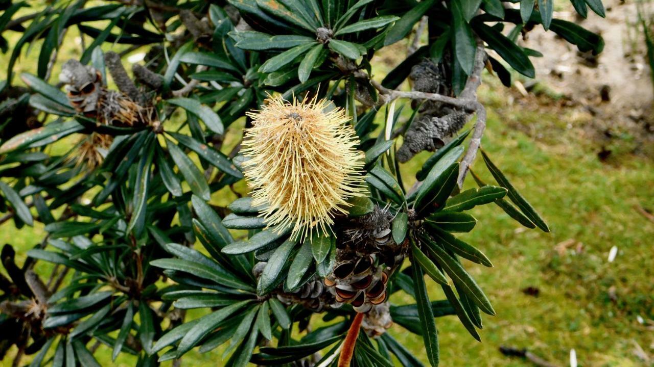 43 Degrees Bruny Island Adventure Bay Exterior foto